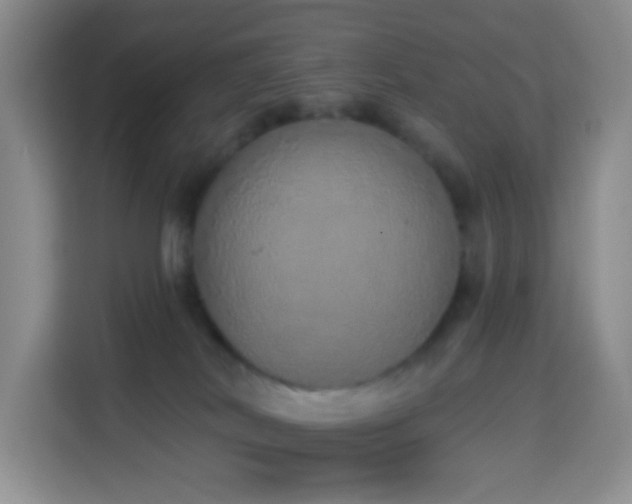 X0000114030038200910021447