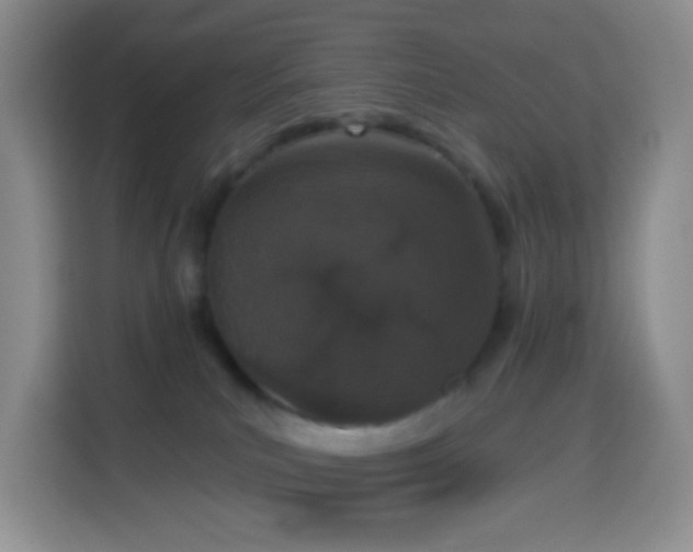 X0000114030039200910021447