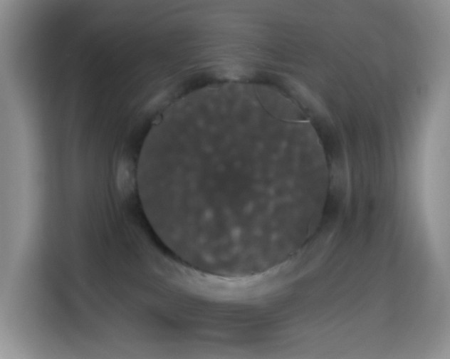 X0000114030043200910021447