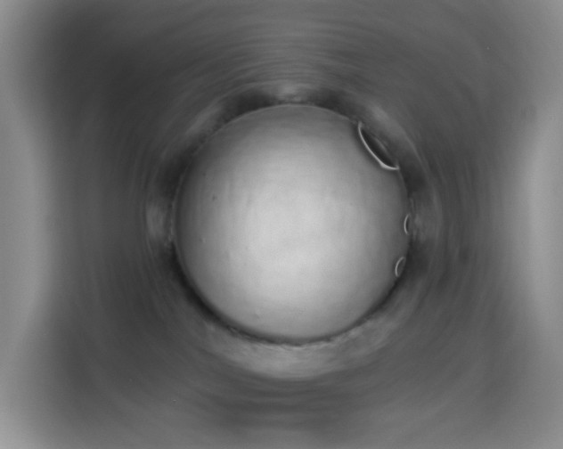 X0000114030044200910021447