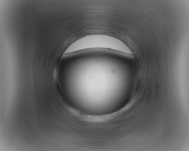X0000114030045200910021447