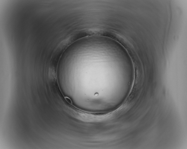 X0000114030048200910021447
