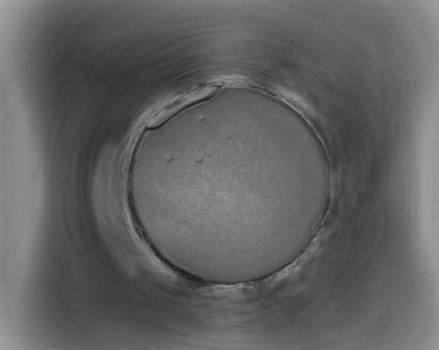 X0000114030049200910021446