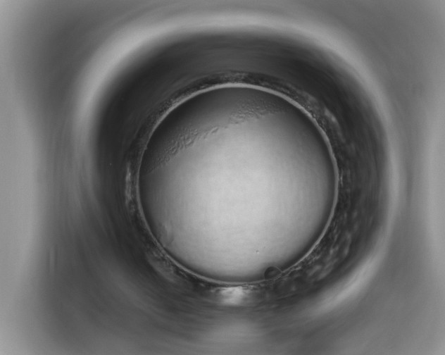 X0000114030050200910021446