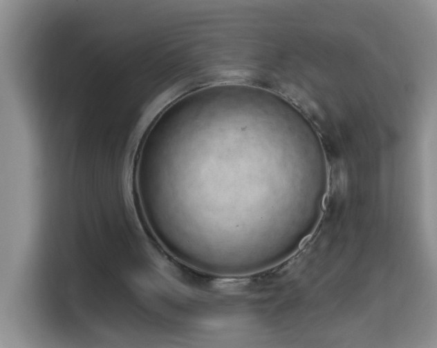 X0000114030051200910021446