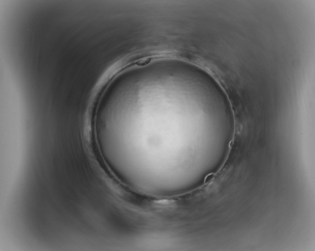 X0000114030053200910021446