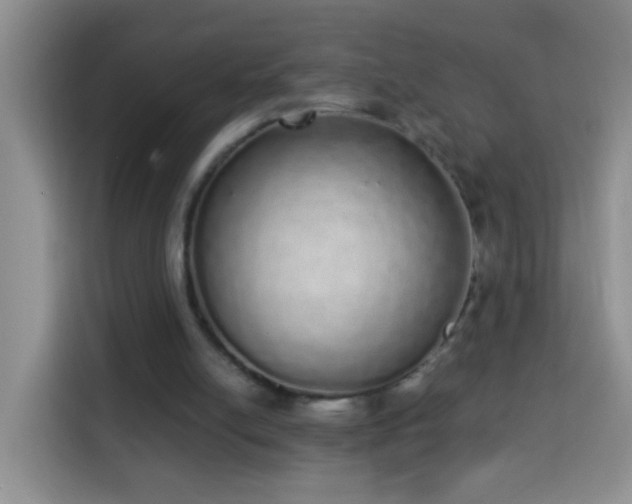 X0000114030054200910021446