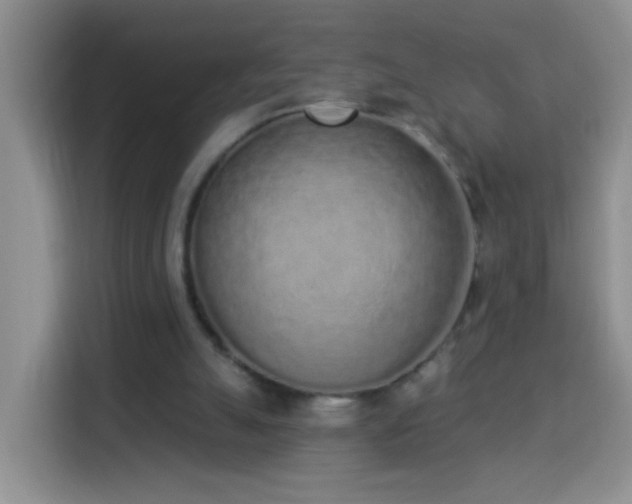 X0000114030055200910021446