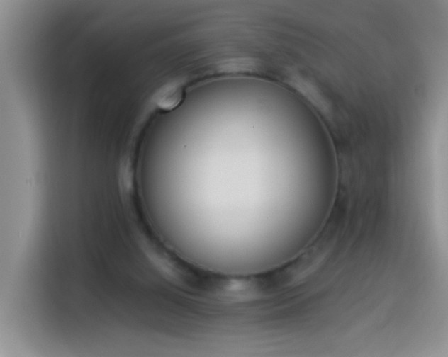 X0000114030060200910021447