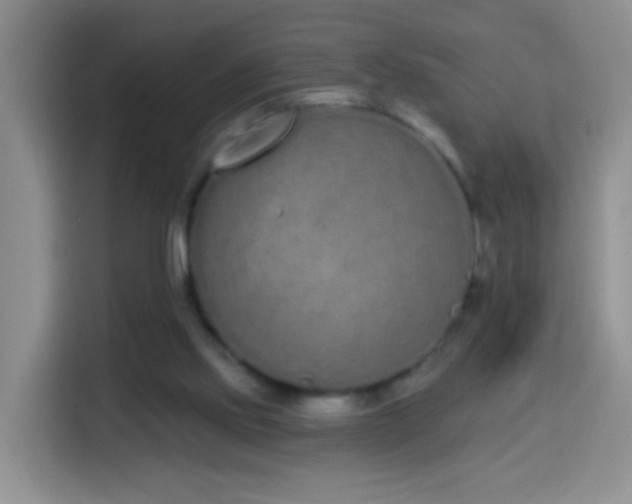 X0000114030061200910021447