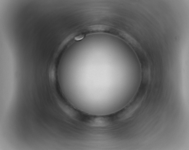 X0000114030064200910021447