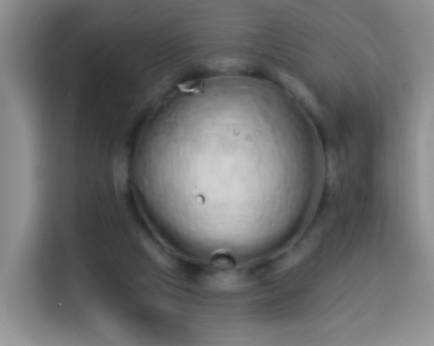 X0000114030065200910021447