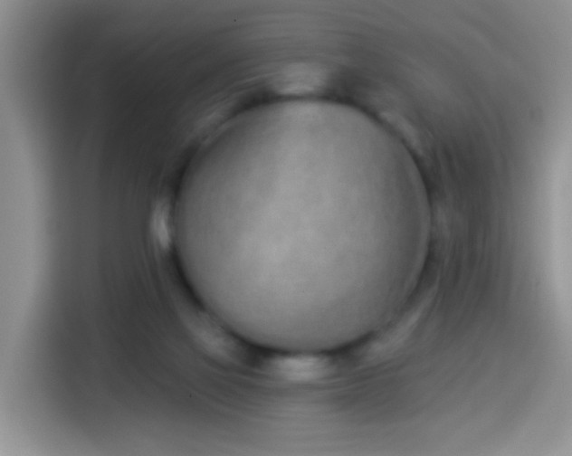 X0000114030069200910021447