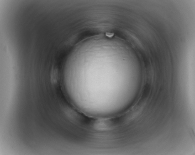 X0000114030077200910021447
