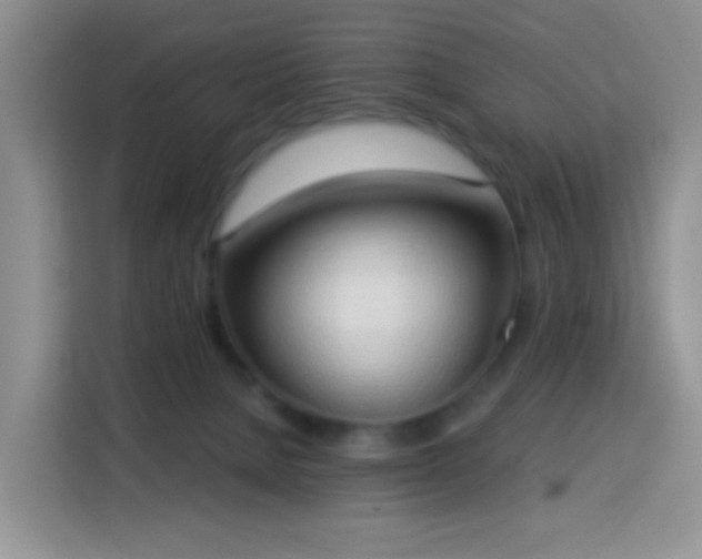 X0000114030080200910021447