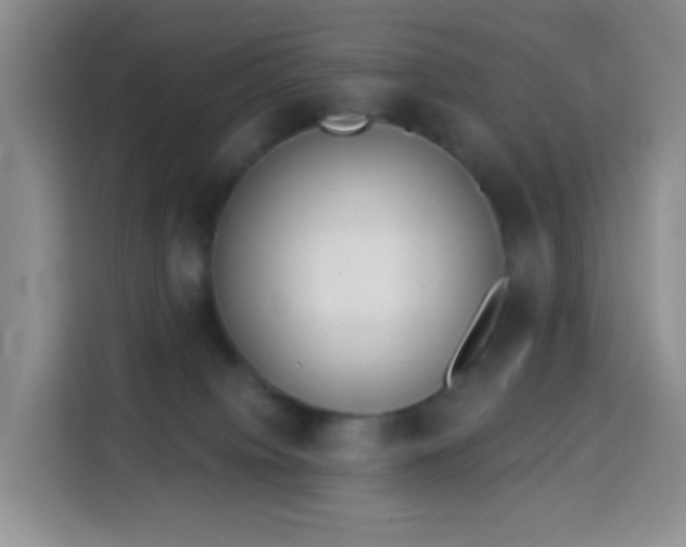 X0000114030084200910021447