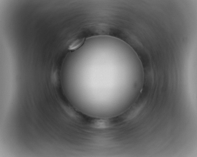 X0000114030088200910021447