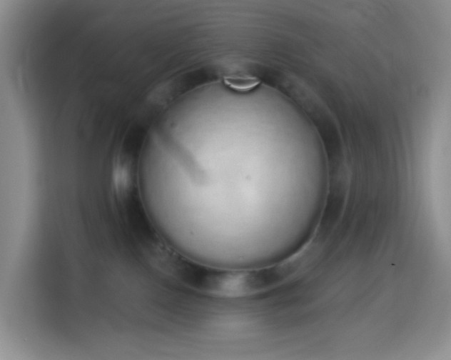 X0000114030090200910021447