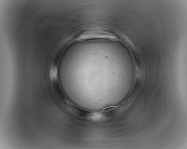 X0000114030095200910021447