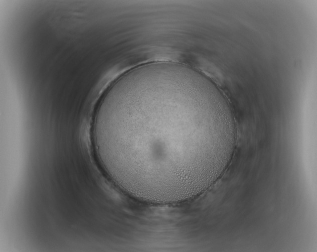 X0000114030098200910021446