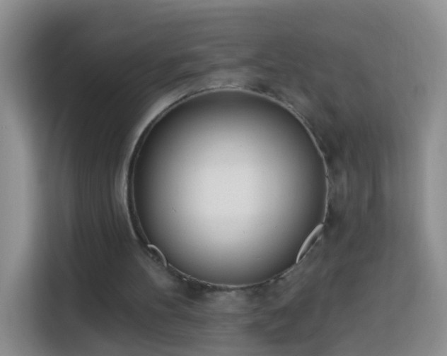 X0000114030100200910021446