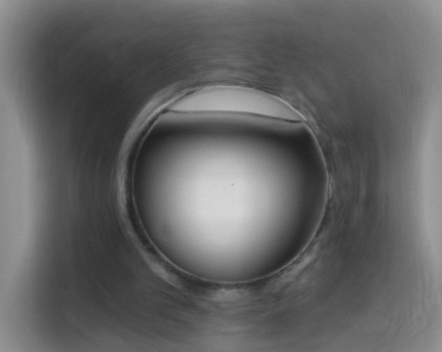 X0000114030101200910021446