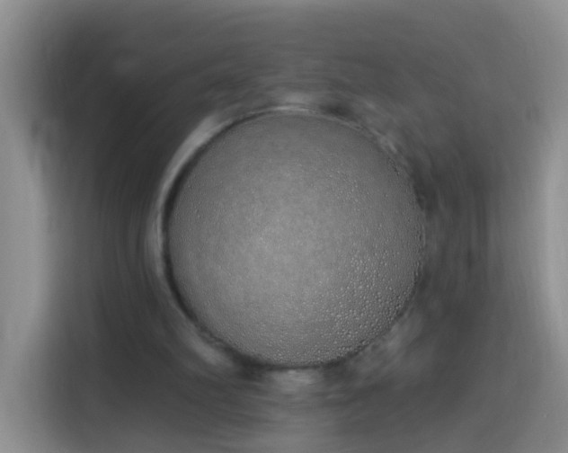 X0000114030102200910021446