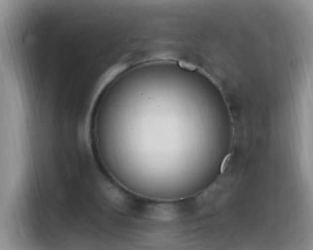 X0000114030104200910021446