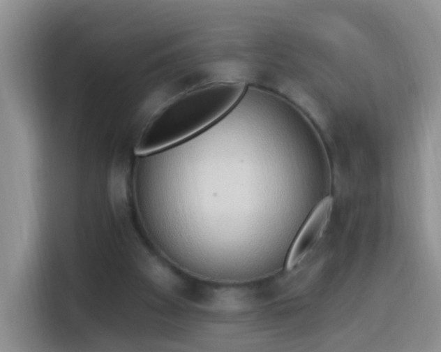 X0000114030105200910021446