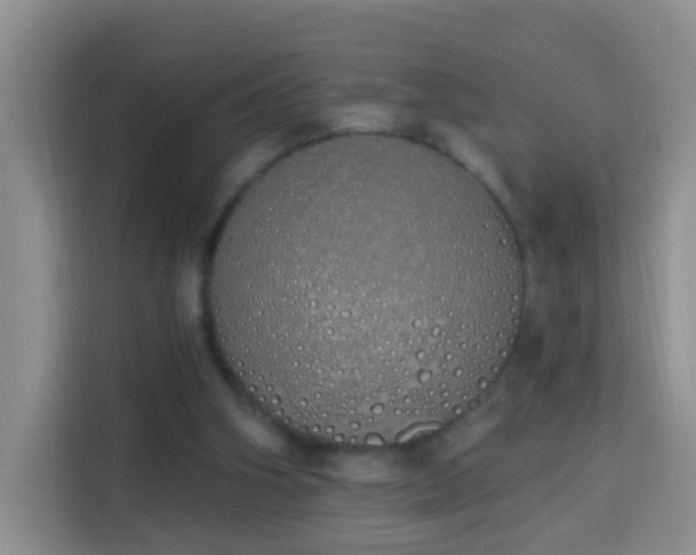 X0000114030106200910021446
