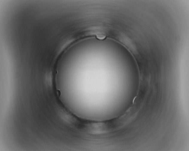 X0000114030108200910021446