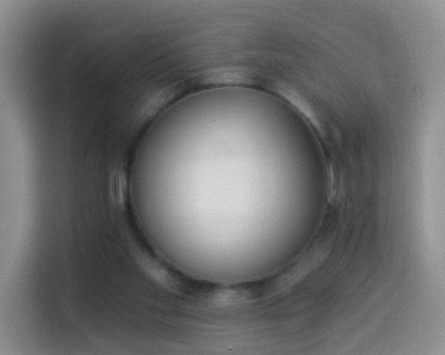 X0000114030109200910021446