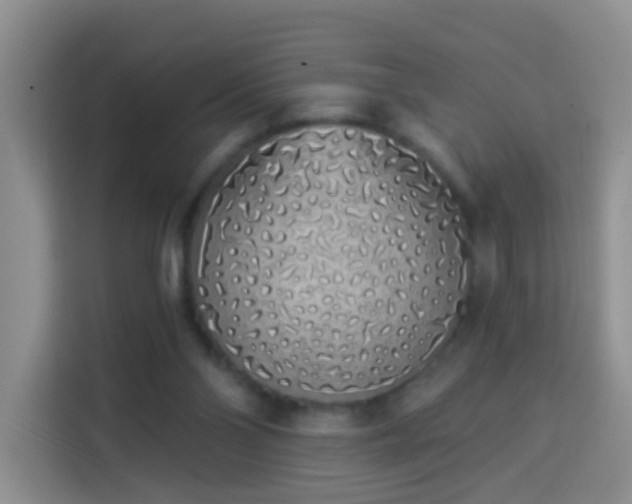 X0000114030110200910021446