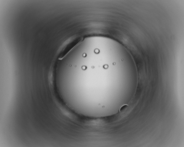 X0000114030112200910021446