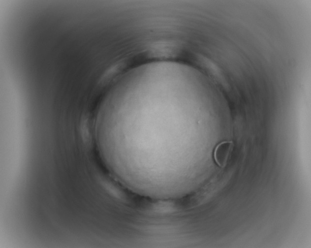X0000114030114200910021446