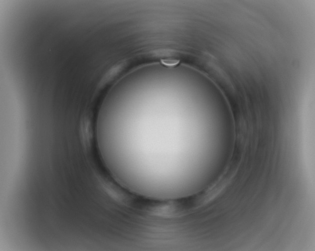 X0000114030116200910021446