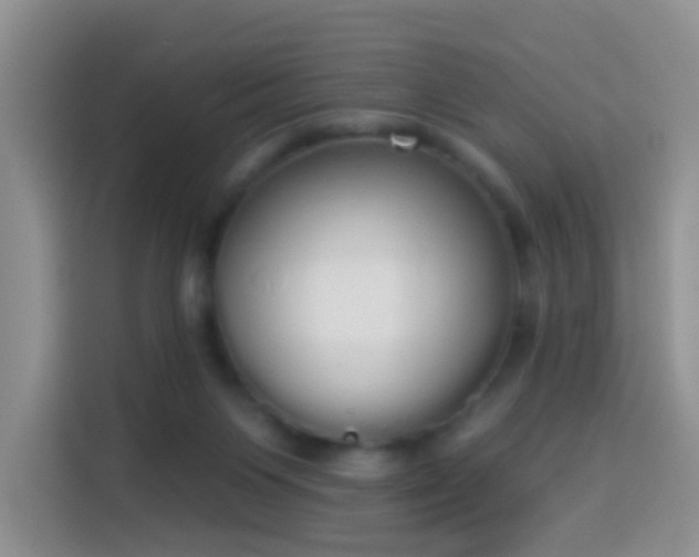 X0000114030119200910021446