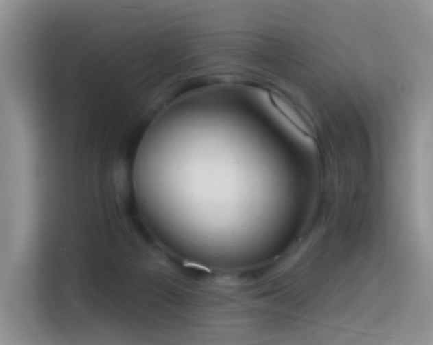 X0000114030121200910021446
