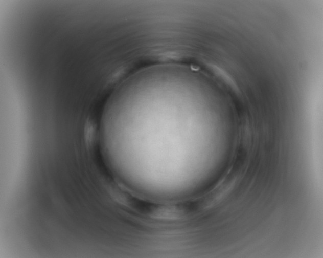 X0000114030123200910021446