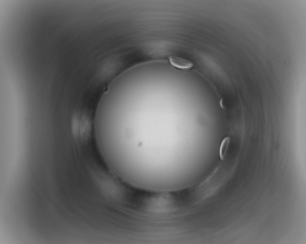 X0000114030124200910021446