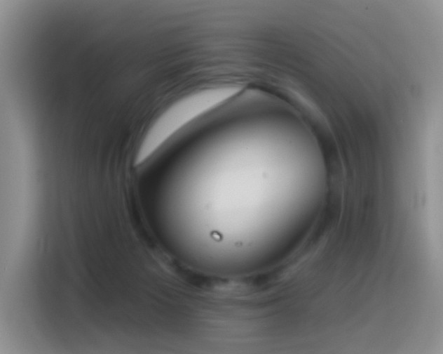 X0000114030125200910021446