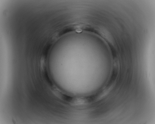 X0000114030127200910021446