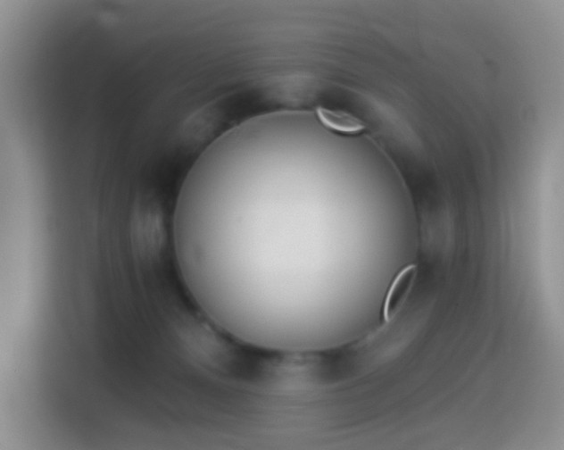 X0000114030128200910021446