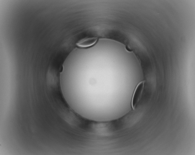 X0000114030129200910021446
