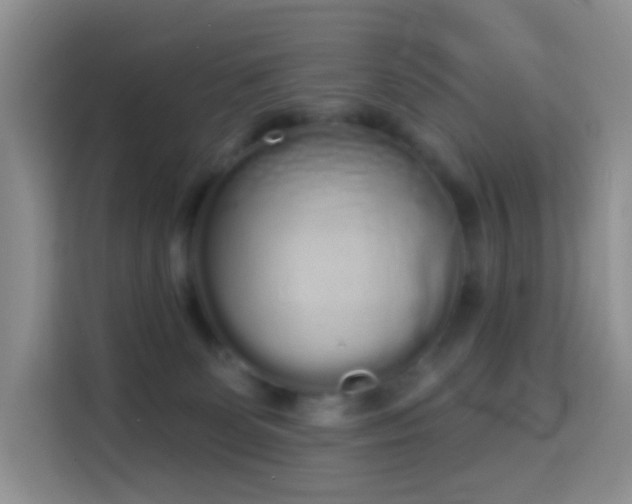 X0000114030131200910021446