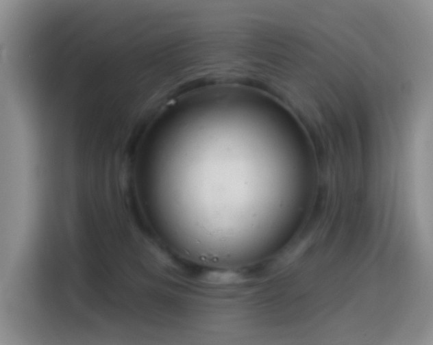 X0000114030133200910021446