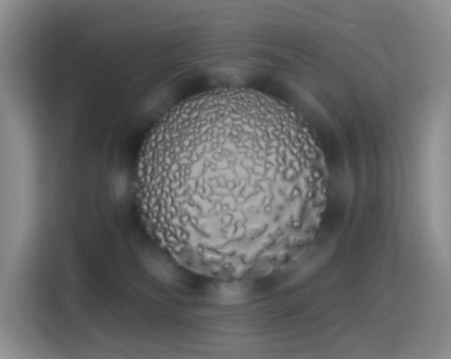 X0000114030134200910021446