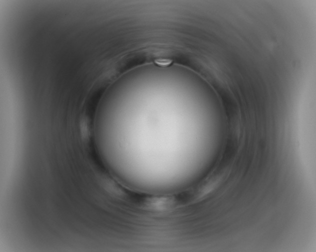X0000114030135200910021446