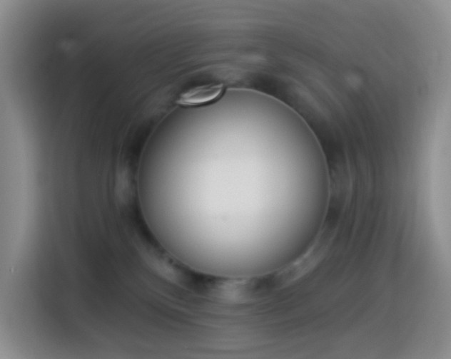 X0000114030136200910021446