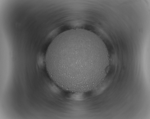 X0000114030138200910021446
